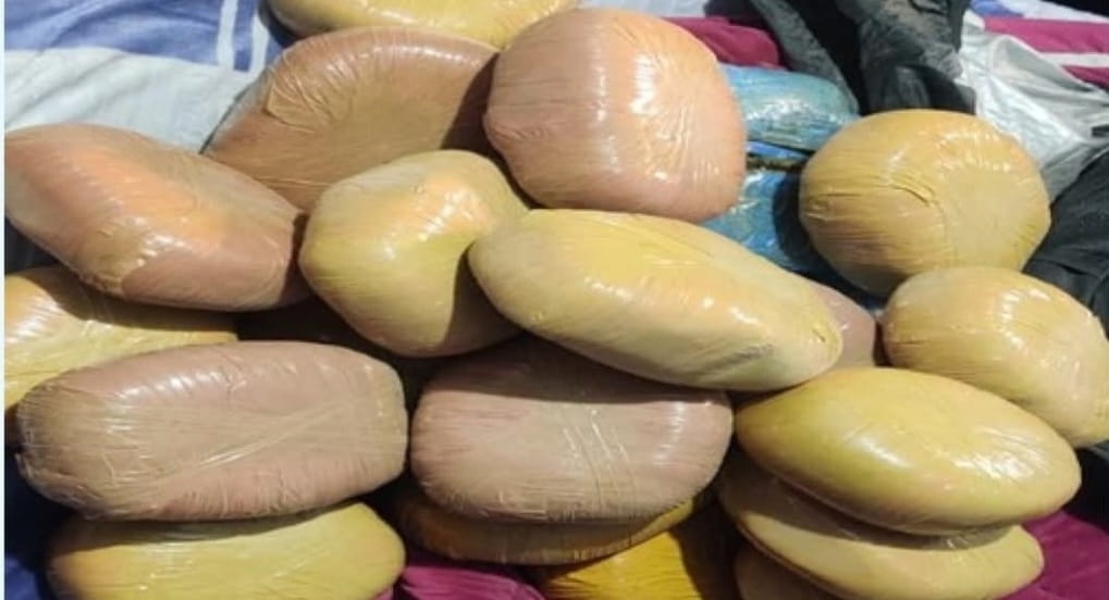 साढे ७५ केजी लागु औषध गाँजा र पोलेन सहित २ जना नियन्त्रणमा